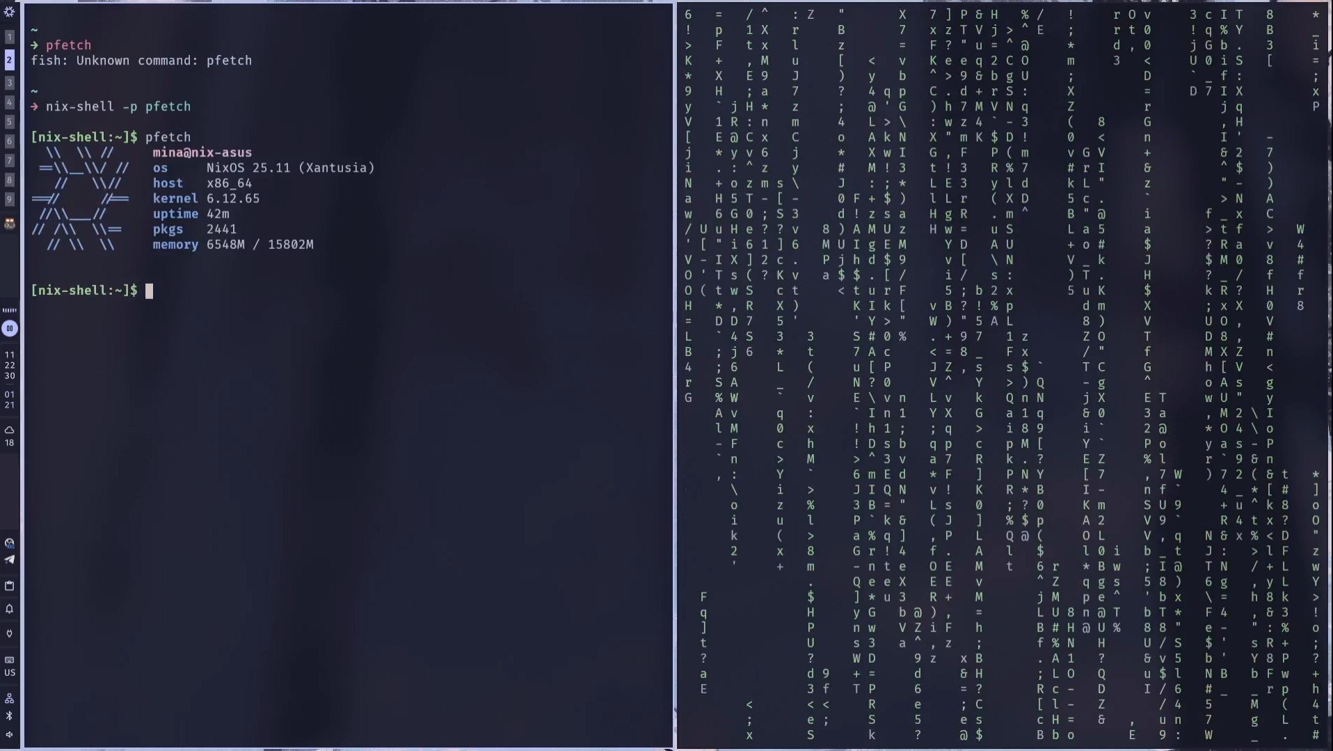 nix-mina desktop